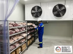 Air Blast Freezer (ABF) BJT untuk Industri Frozen Food & Perikanan